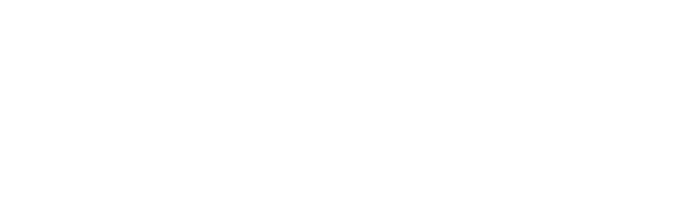 Logo thesee datacenter